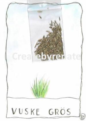 Vuske Grös met zakje graszaad Nr. 36